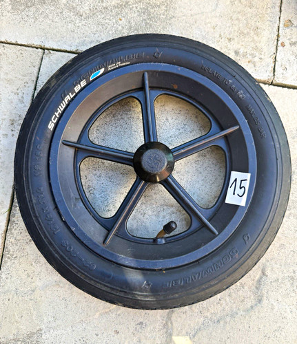 Phil ted sport - phil, rear