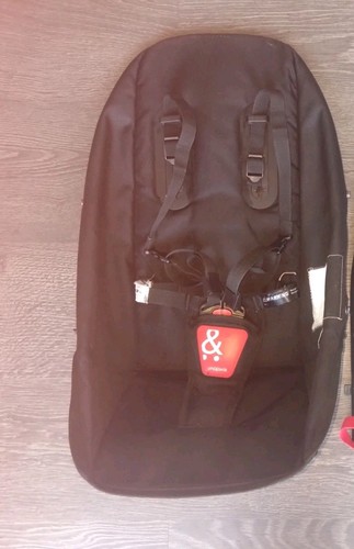 Phil teds dot - 1.0, rear